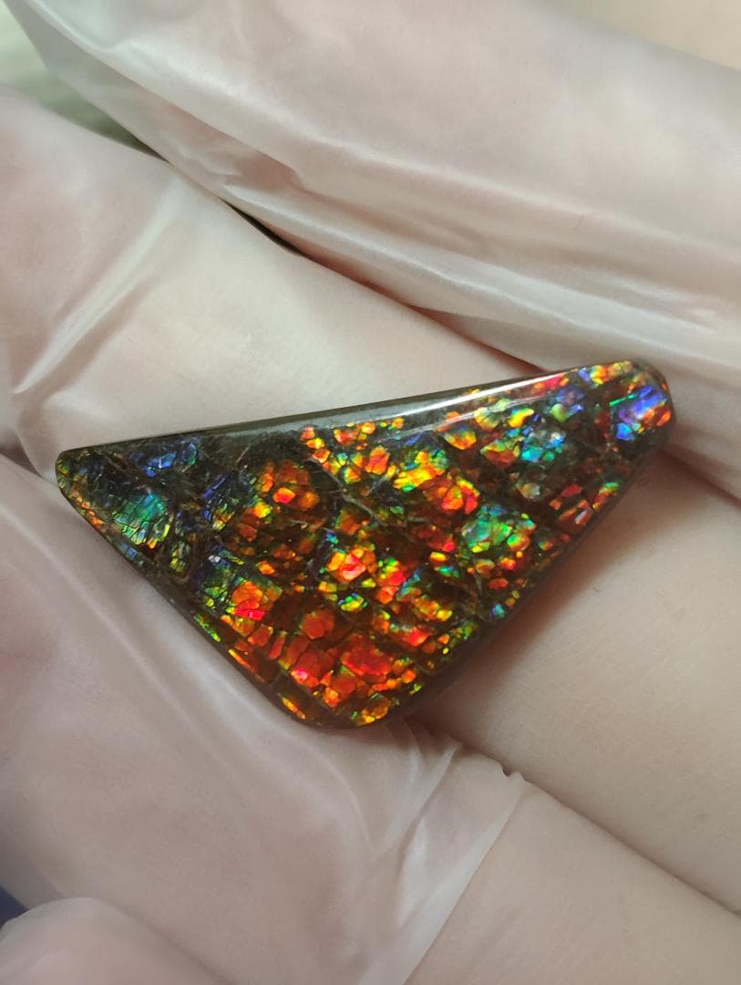 アンモライト　ルース　24-1414 23500