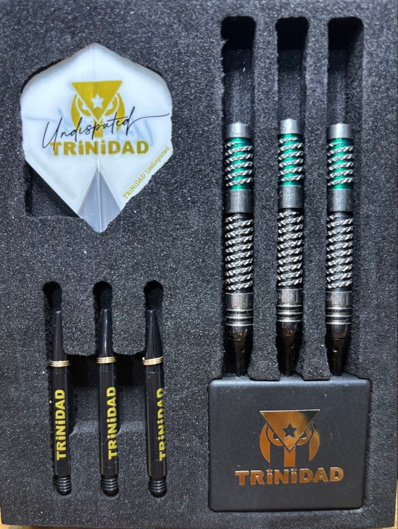 リカルドタイプ2 浅田斉吾選手モデル