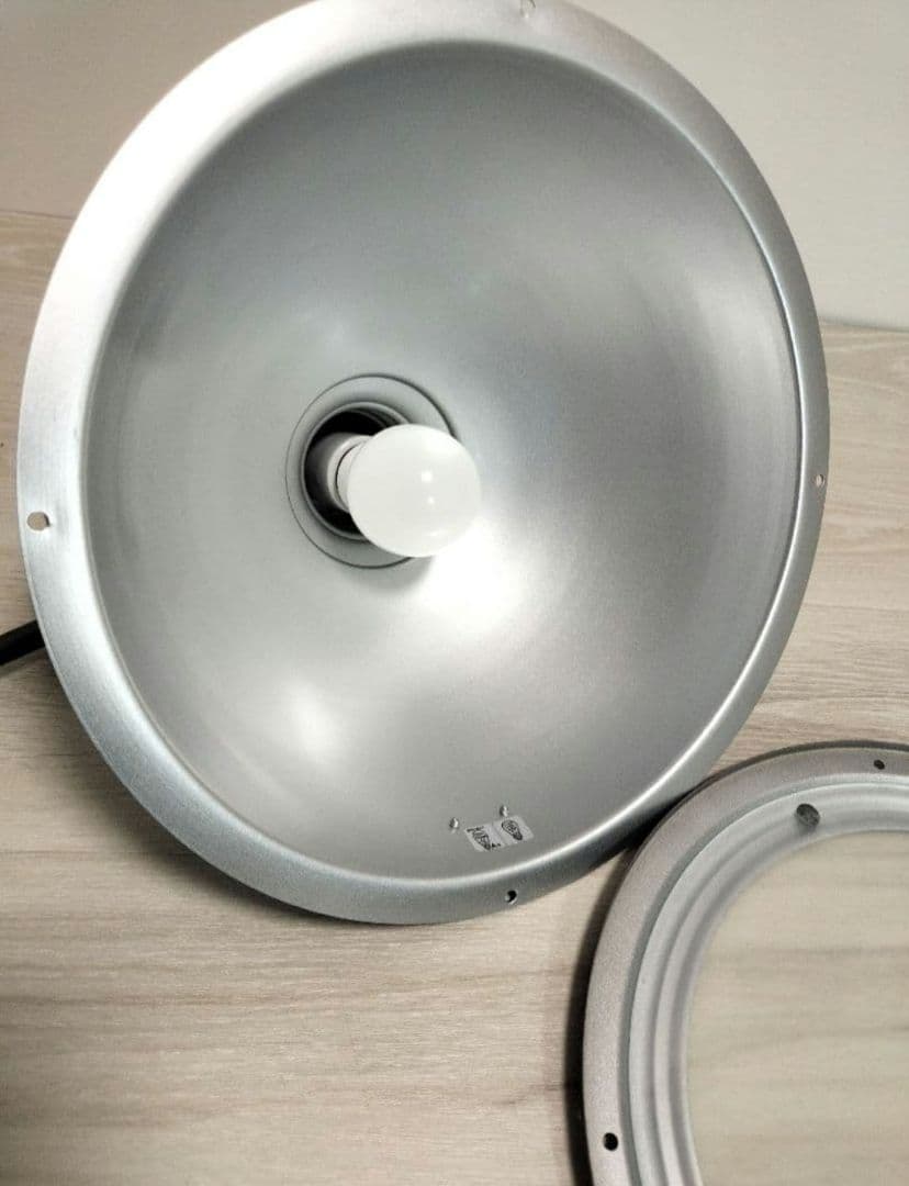 インターフォルム LED ペンダントライト LT-8803AN ビンテージ 錆