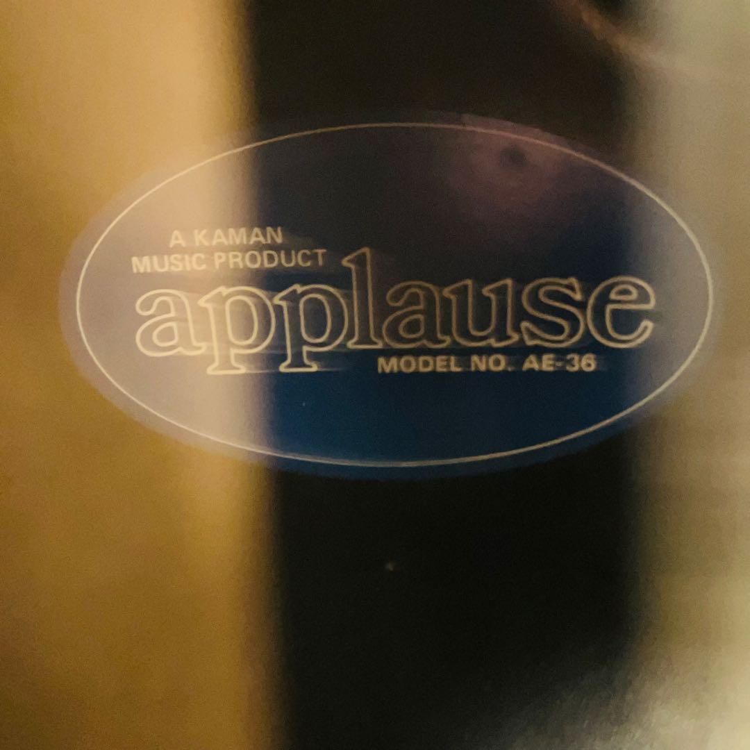 【GOTOHペグ交換】エレアコAPPLAUSE AE 36