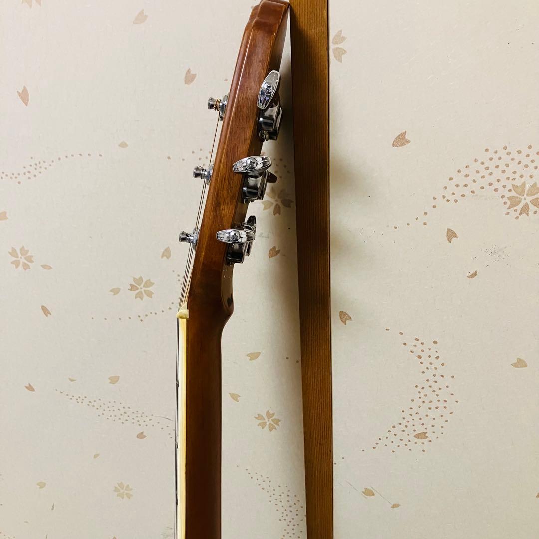 【GOTOHペグ交換】エレアコAPPLAUSE AE 36