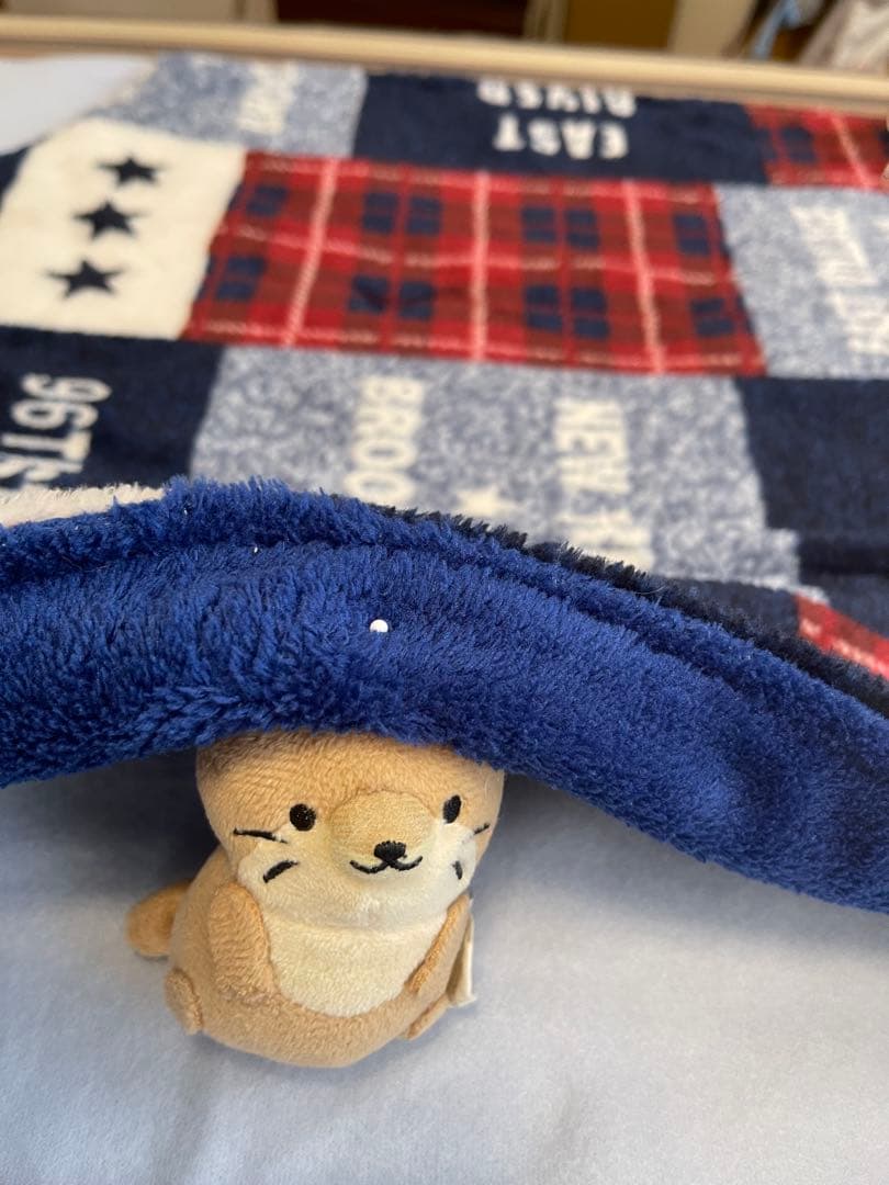 ラビ　冬用フェレットハンモック4枚