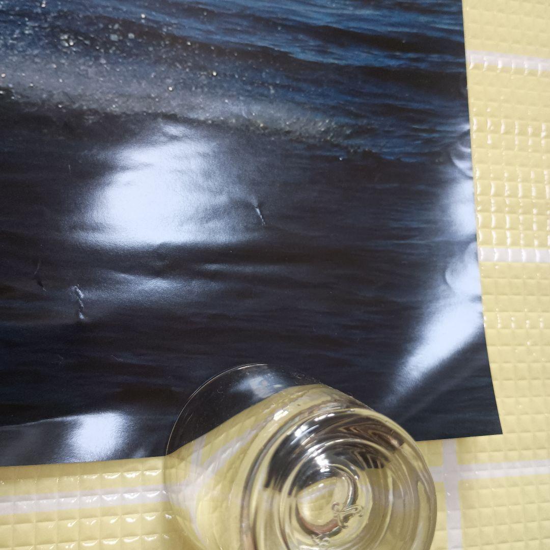 Mr.Children　SENSE ポスター 120