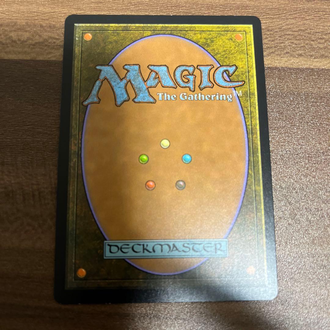 MTG EXP 溢れかえる果樹園　エクスペディション　FOIL