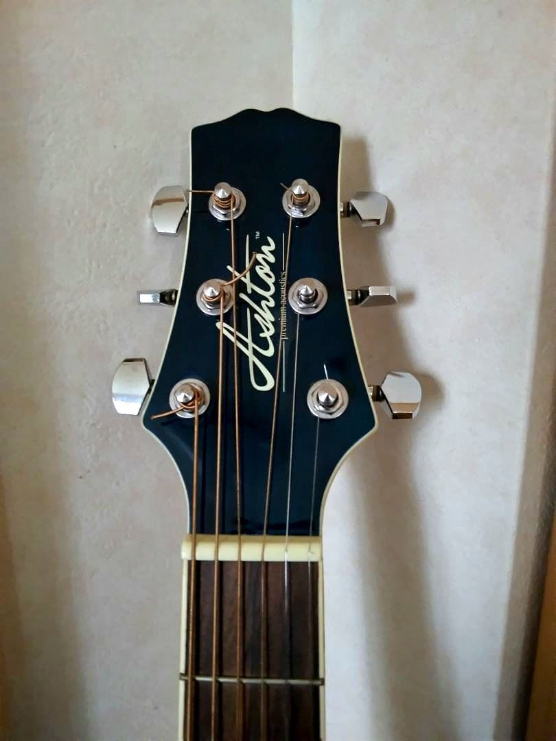 Ashton Acoustic Guitar アクアブルーアコギ 初心者に最適