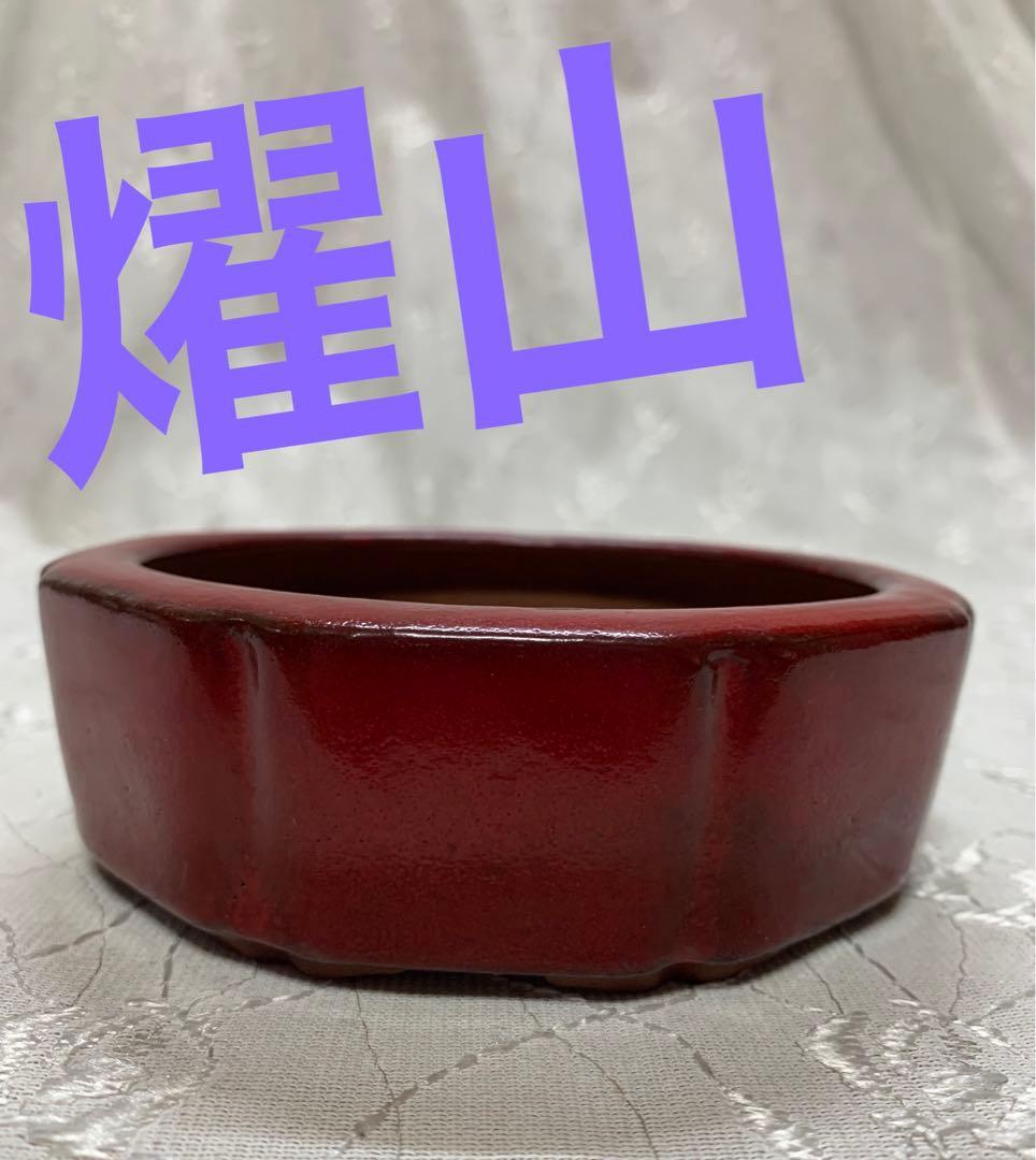 燿山　赤　丸　盆栽鉢