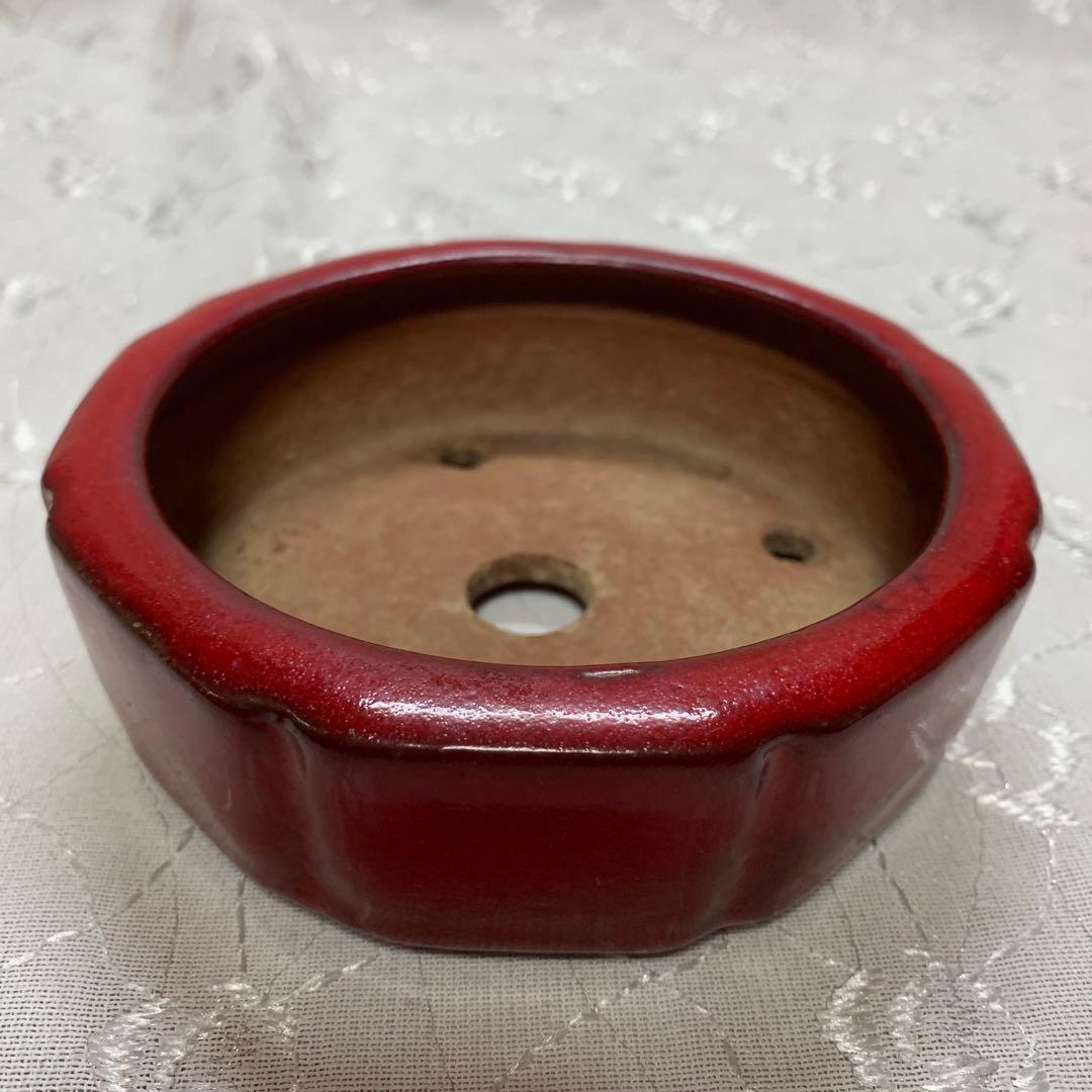 燿山　赤　丸　盆栽鉢