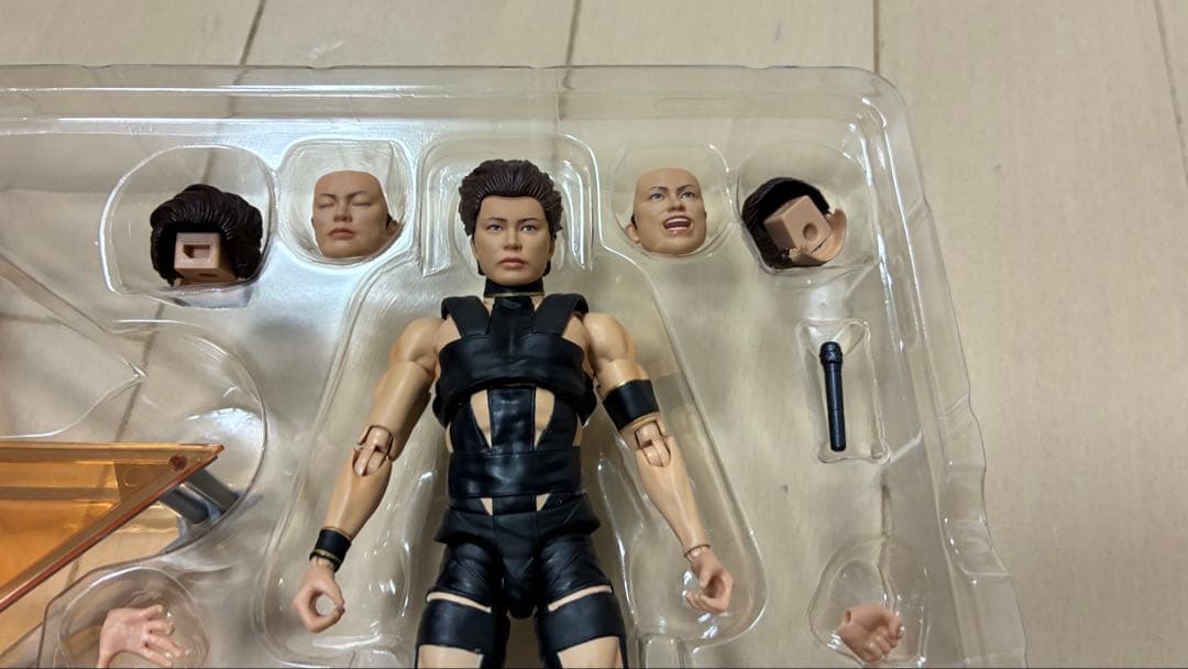 その他 T.M.Revolution SHFiguarts