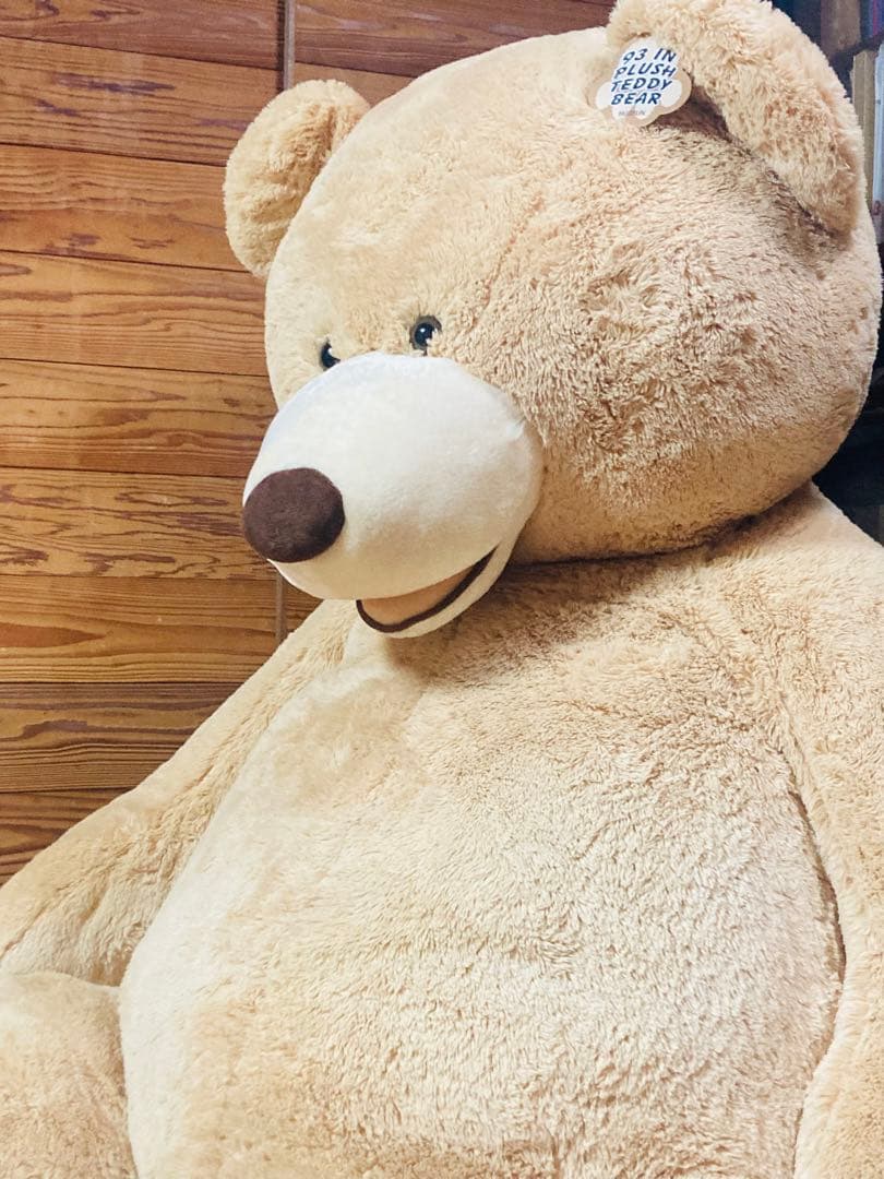 コストコ くま ぬいぐるみ COSTCO big bear 236cm