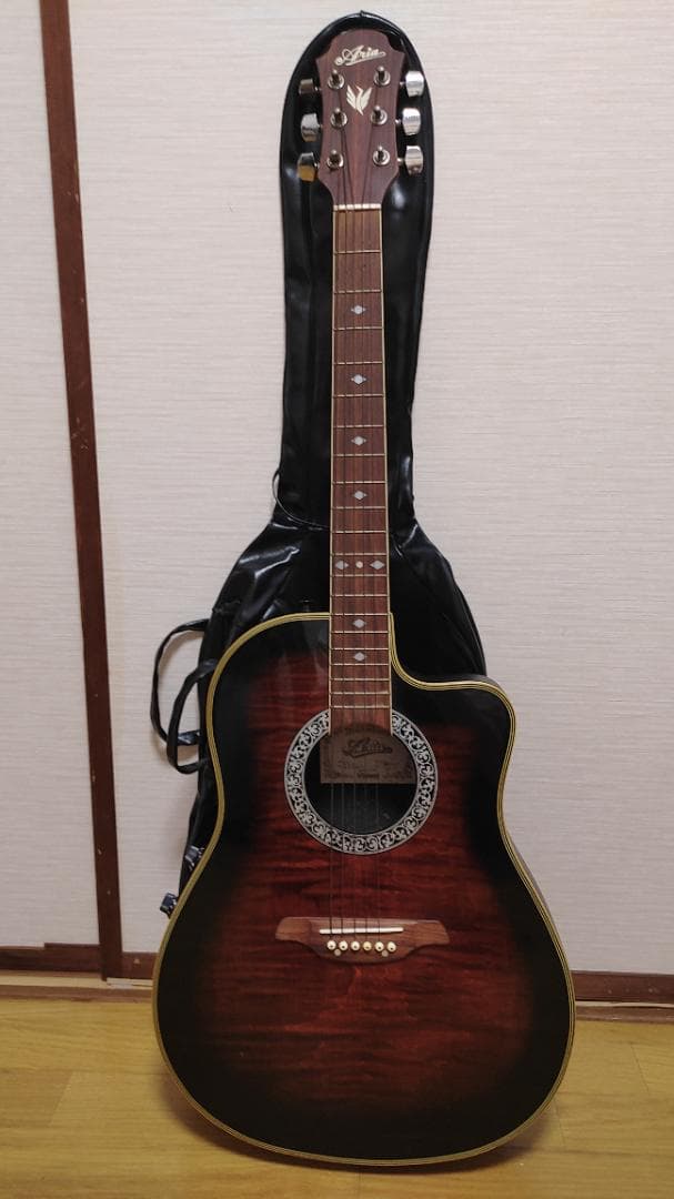 Aria AMB-35BS (ケース付き)