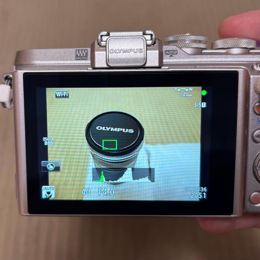 シャッター回数2347回 OLYMPUS PEN E-PL8 ダブルズームキット