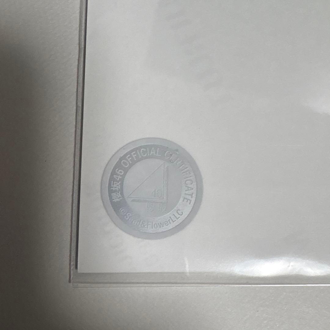 武元唯衣 櫻坂46 2025年 サンタ 生写真 直筆サイン