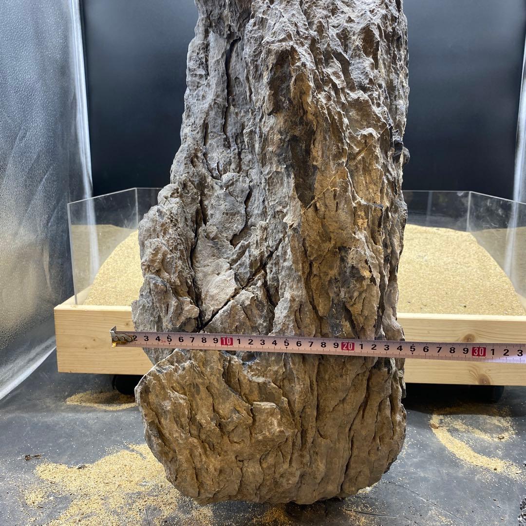 MSS-6642 特大セレクト品青龍石57cm親石　龍王石　竜王石