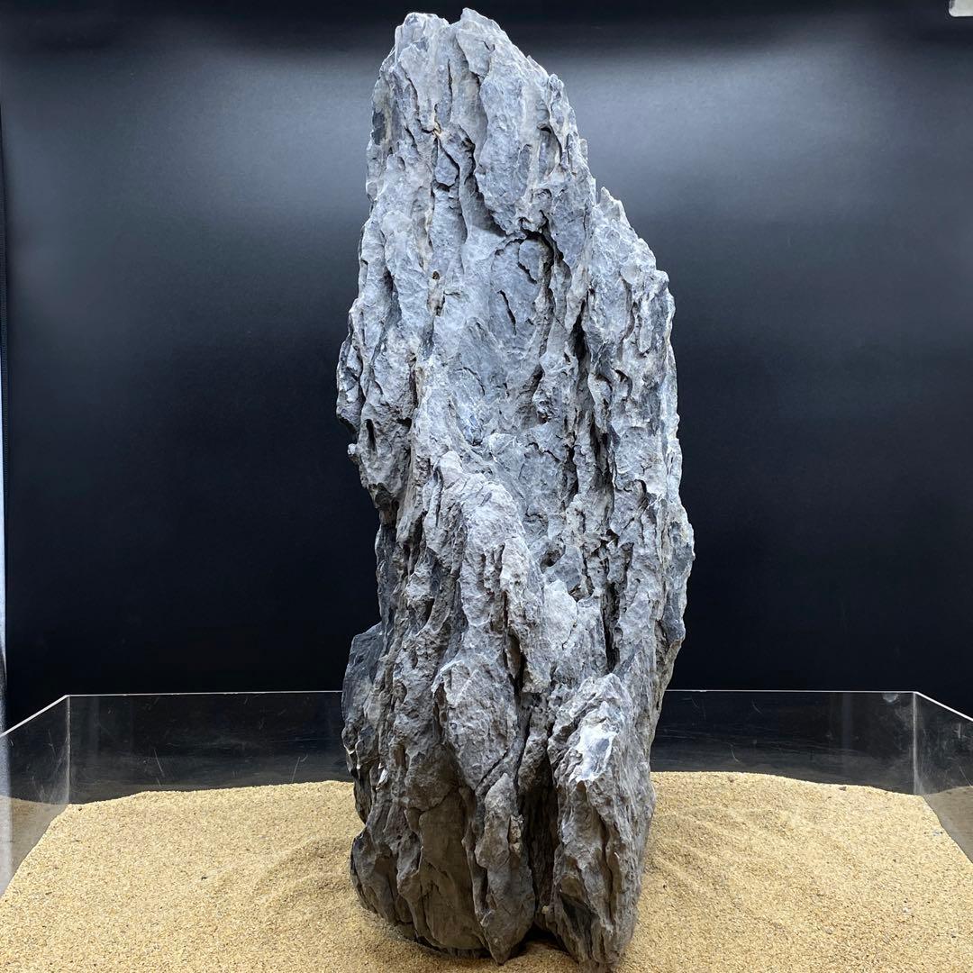 MSS-6642 特大セレクト品青龍石57cm親石　龍王石　竜王石