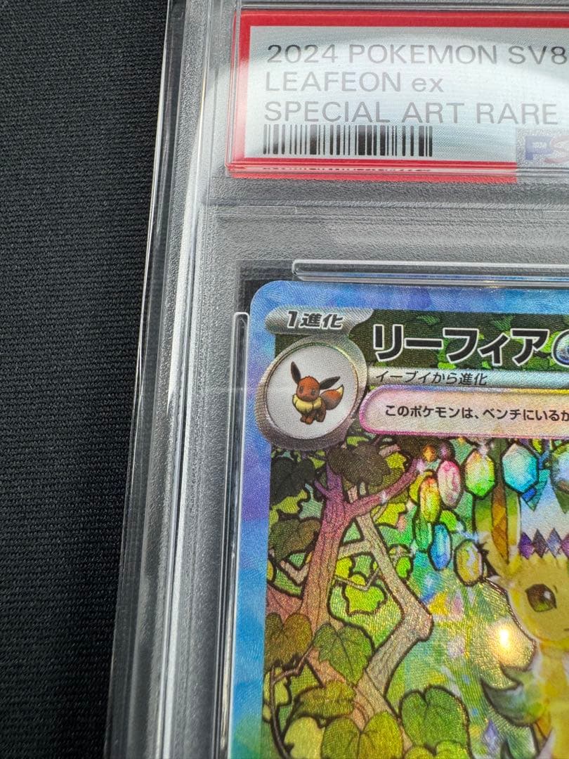 【PSA10】ブイズ まとめ売り リーフィア、サンダース、ブラッキー