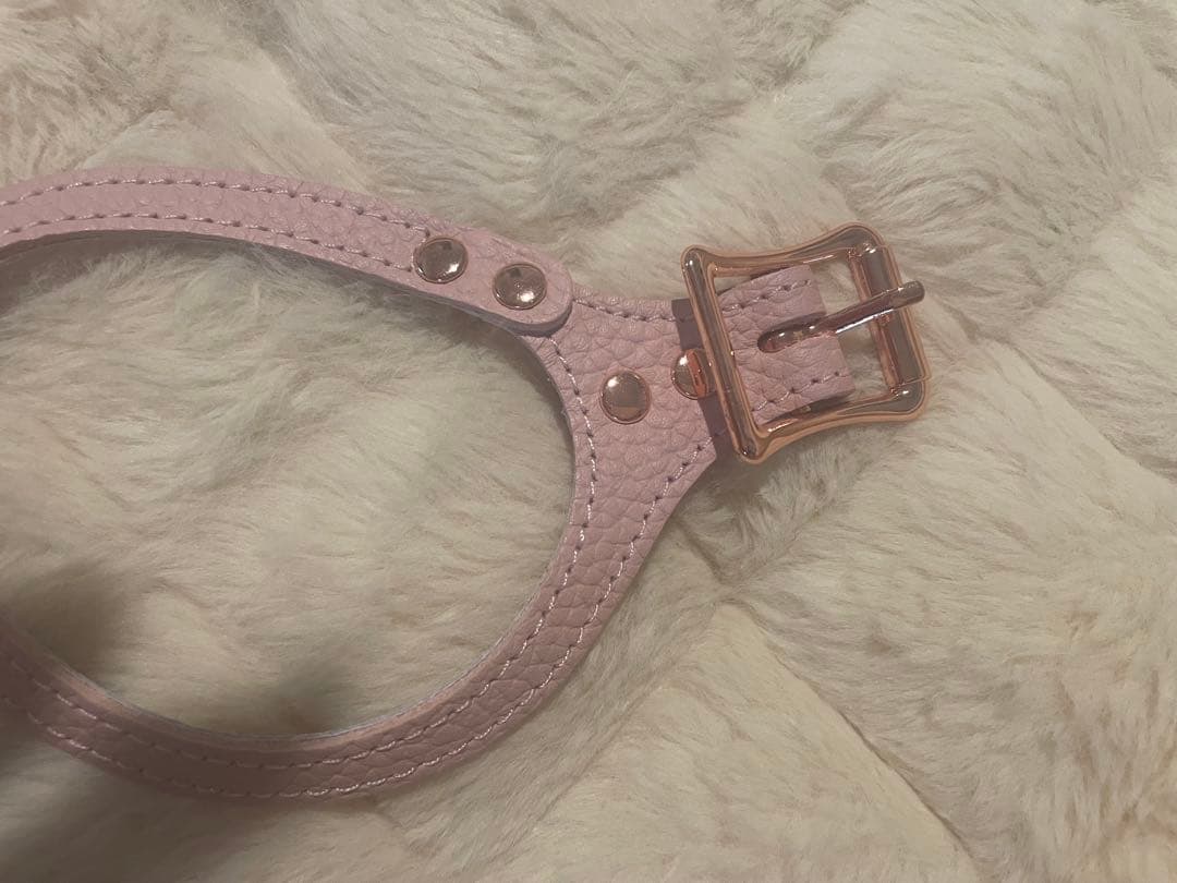 buddybelts 犬用ハーネス3.5 2026限定色BRUSH