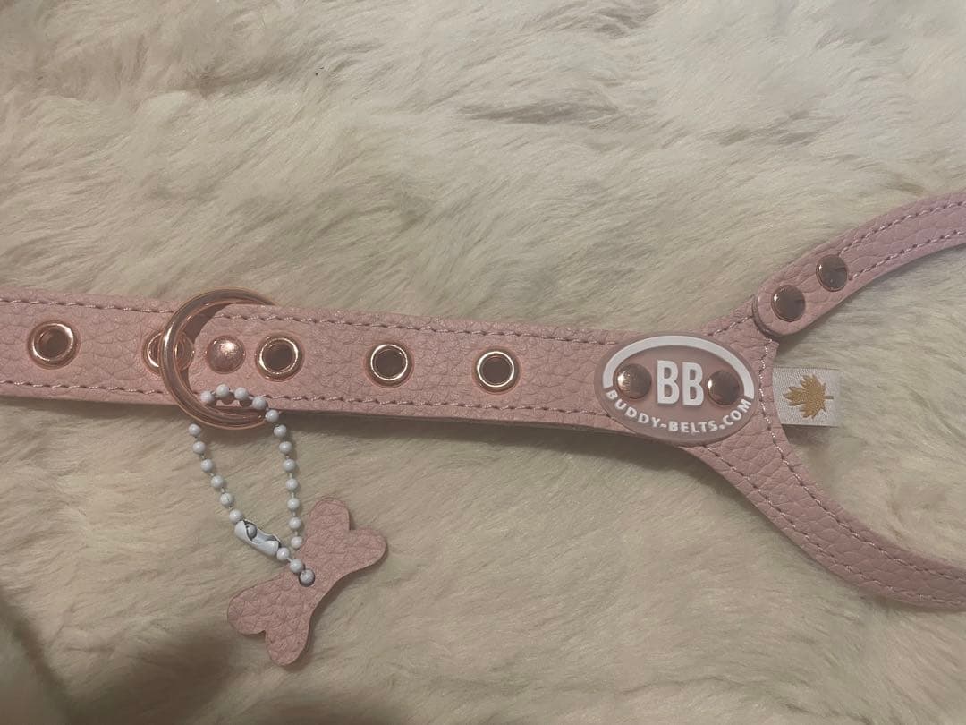 buddybelts 犬用ハーネス3.5 2026限定色BRUSH