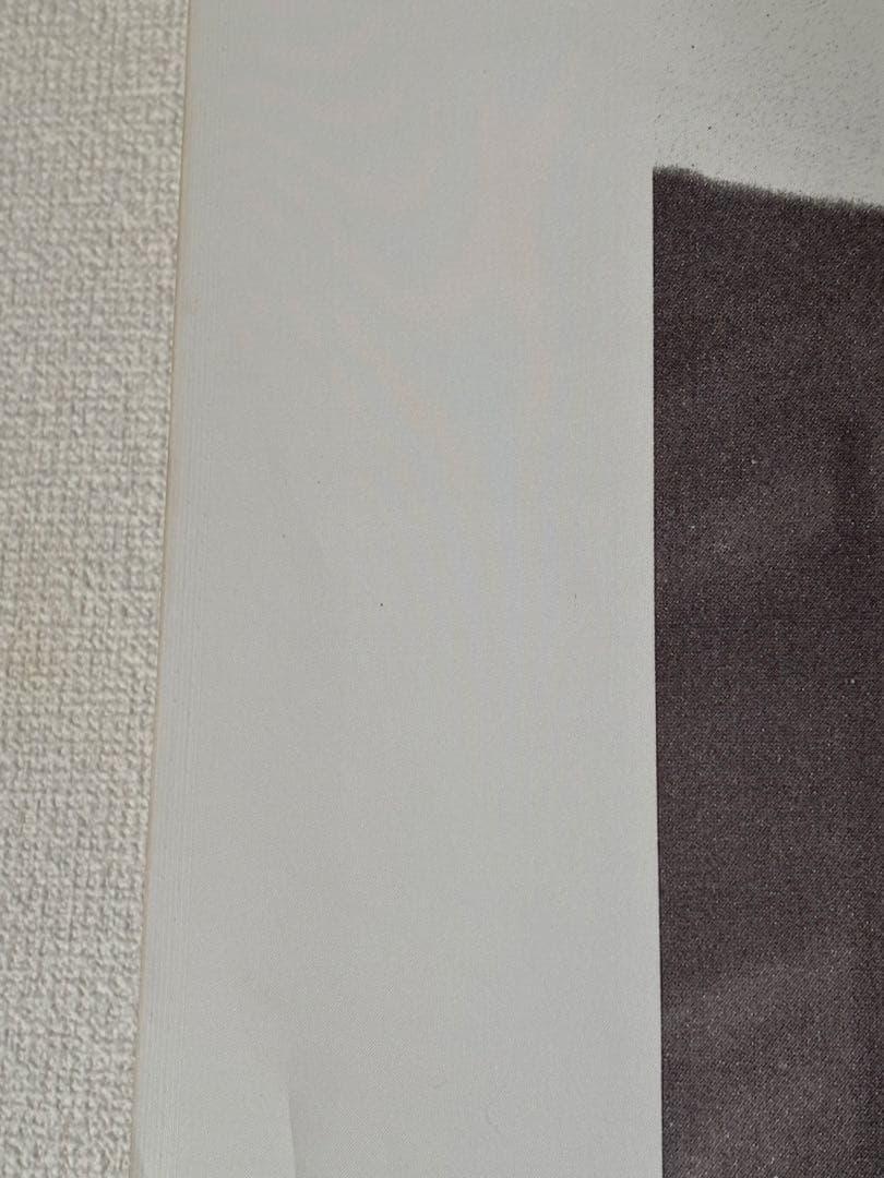 ジェームズ・ディーン　タペストリー