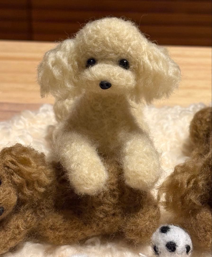 羊毛フェルト 毛糸 トイプードル（遊んだ後のリラックスタイム）❣️