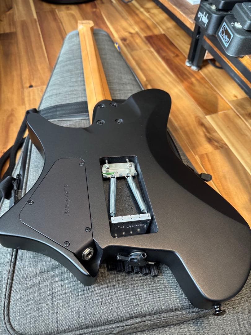 ギター strandberg Salen Classic NX 6 Tremolo