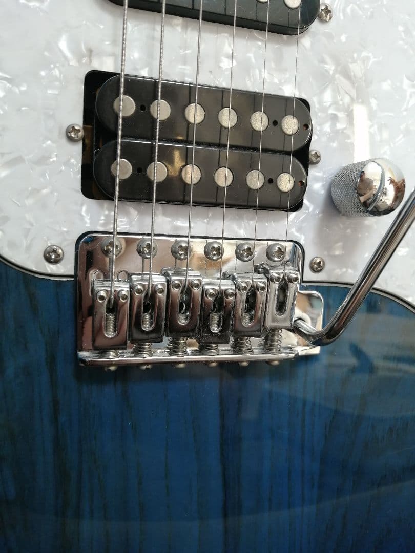 SCHECTER ORIENTAL LINE OL-ST（DBL）