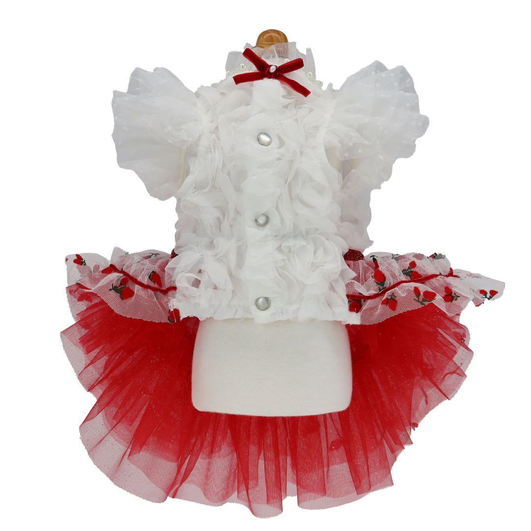 リュクスバーディLuxe birdieルージュワンピースバレッタセット犬服レッド