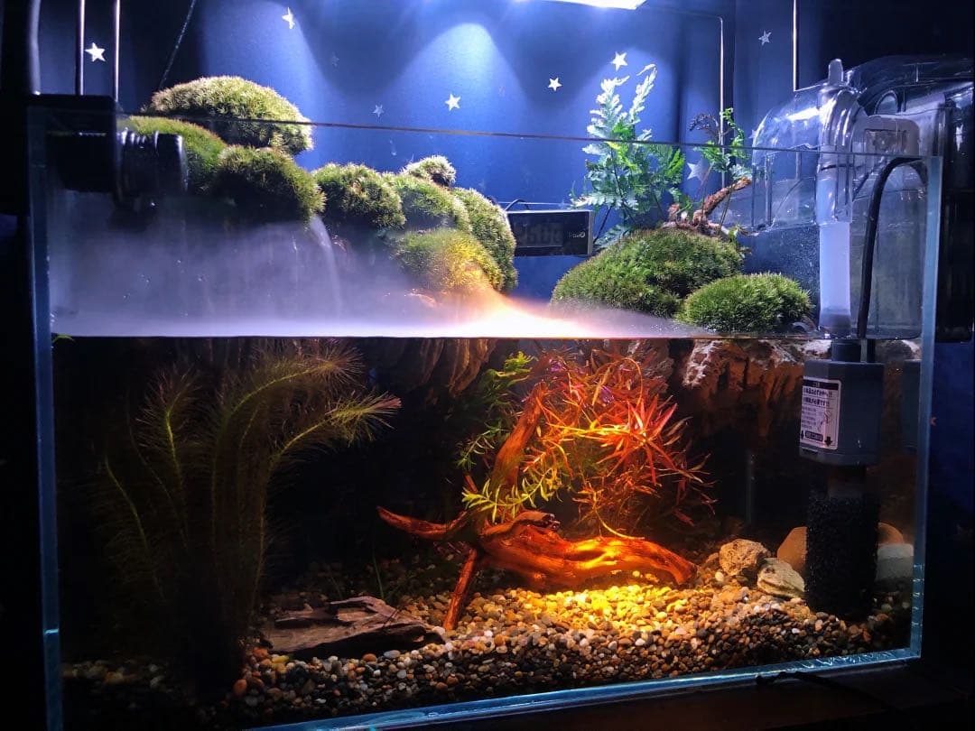 水槽 オーダー品