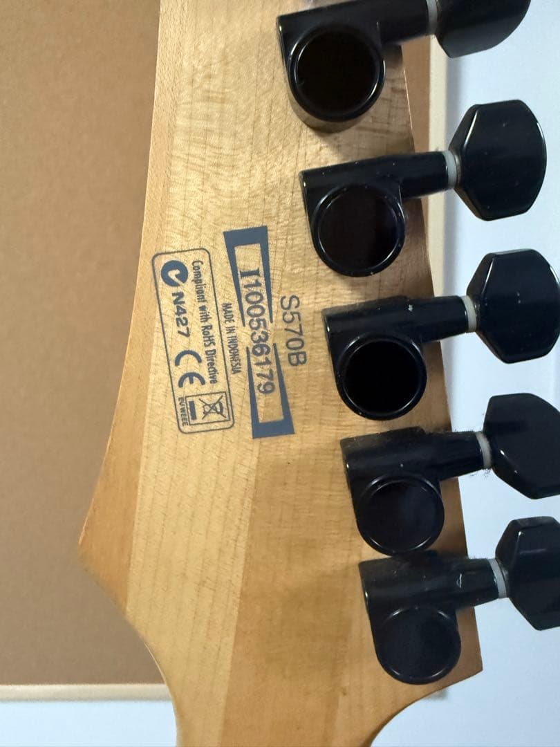 Ibanez（アイバニーズ）S Series（Sシリーズ)S570B