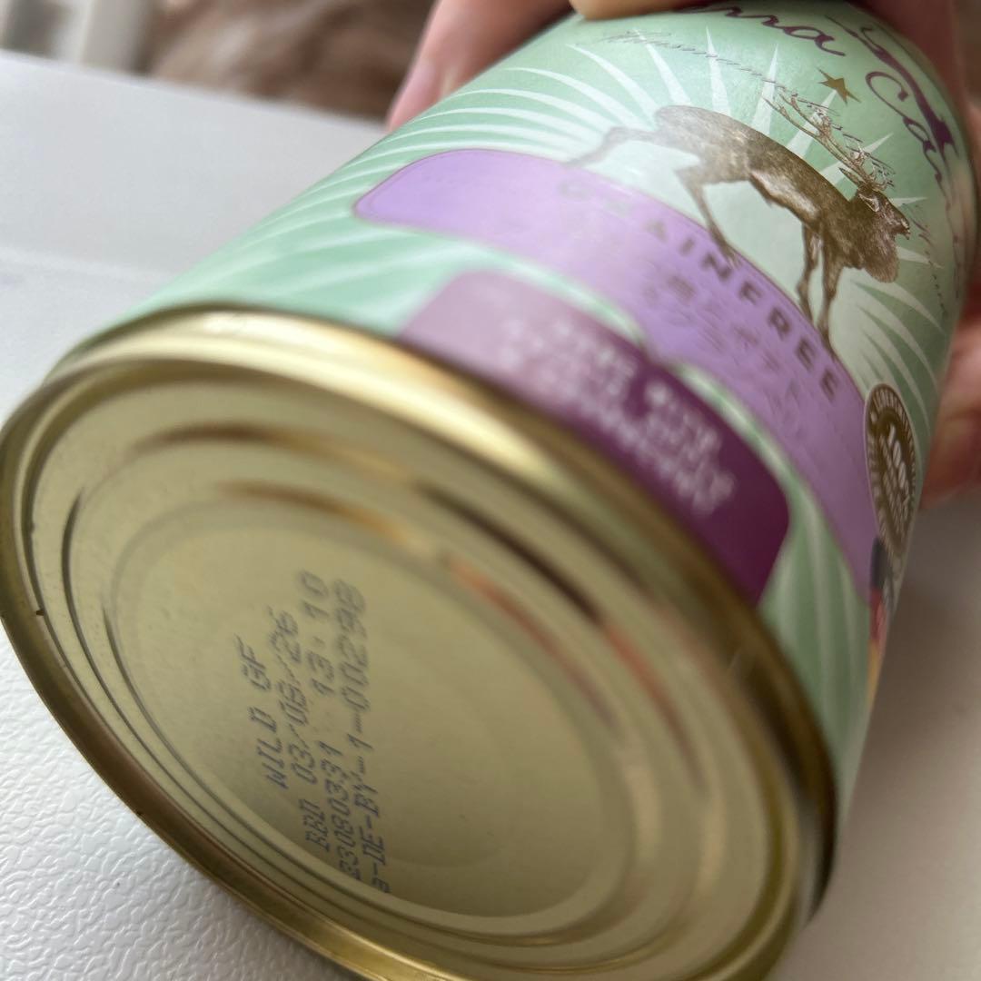 ドッグフード raisin2