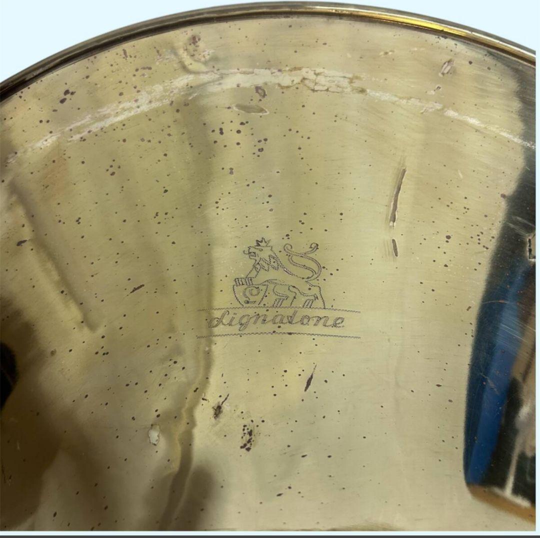 調整済 リグナトーン(チェコスロバキア製) 真鍮スーザフォン B - 880