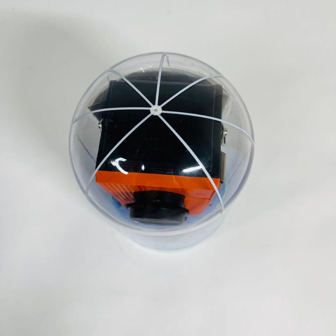 新品 未使用 blackbird fly オレンジ