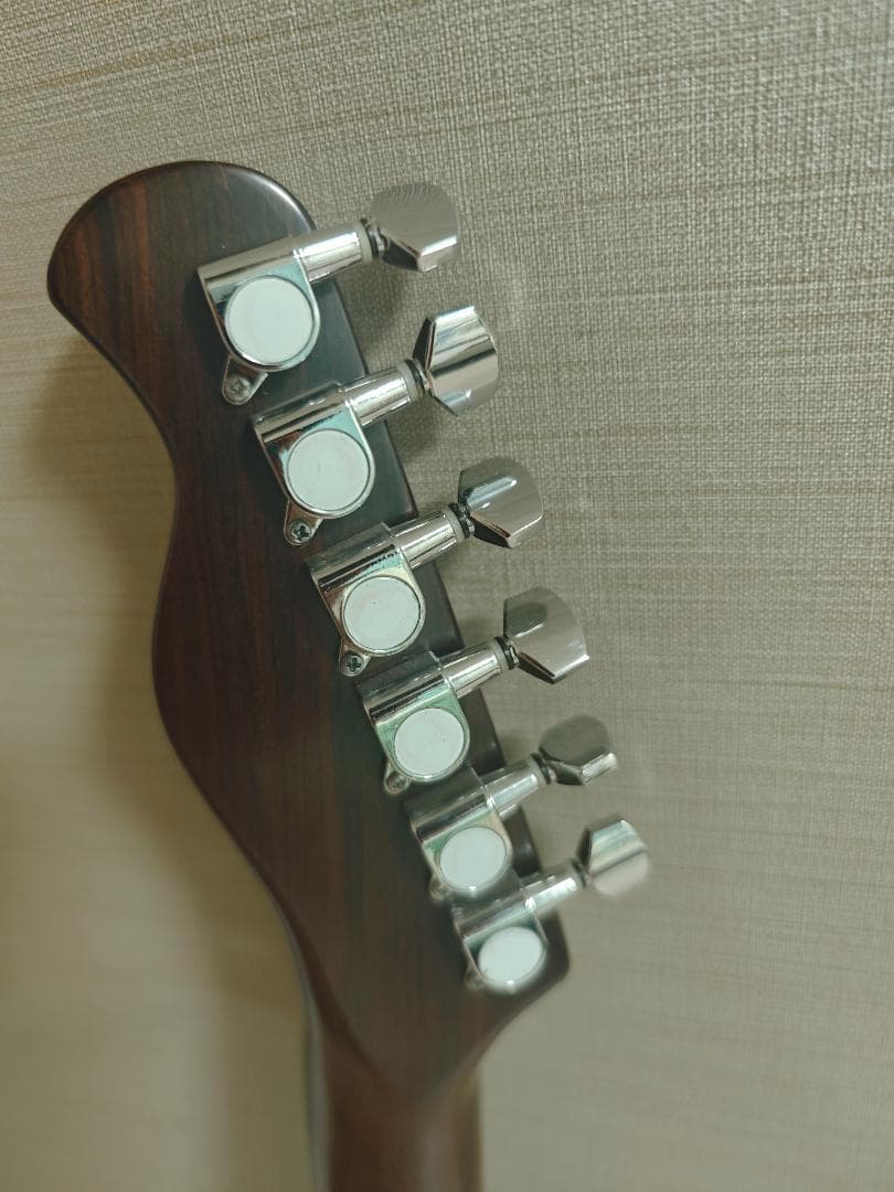 Bacchus Universe BTE-TW Tele 中古 ケース付き