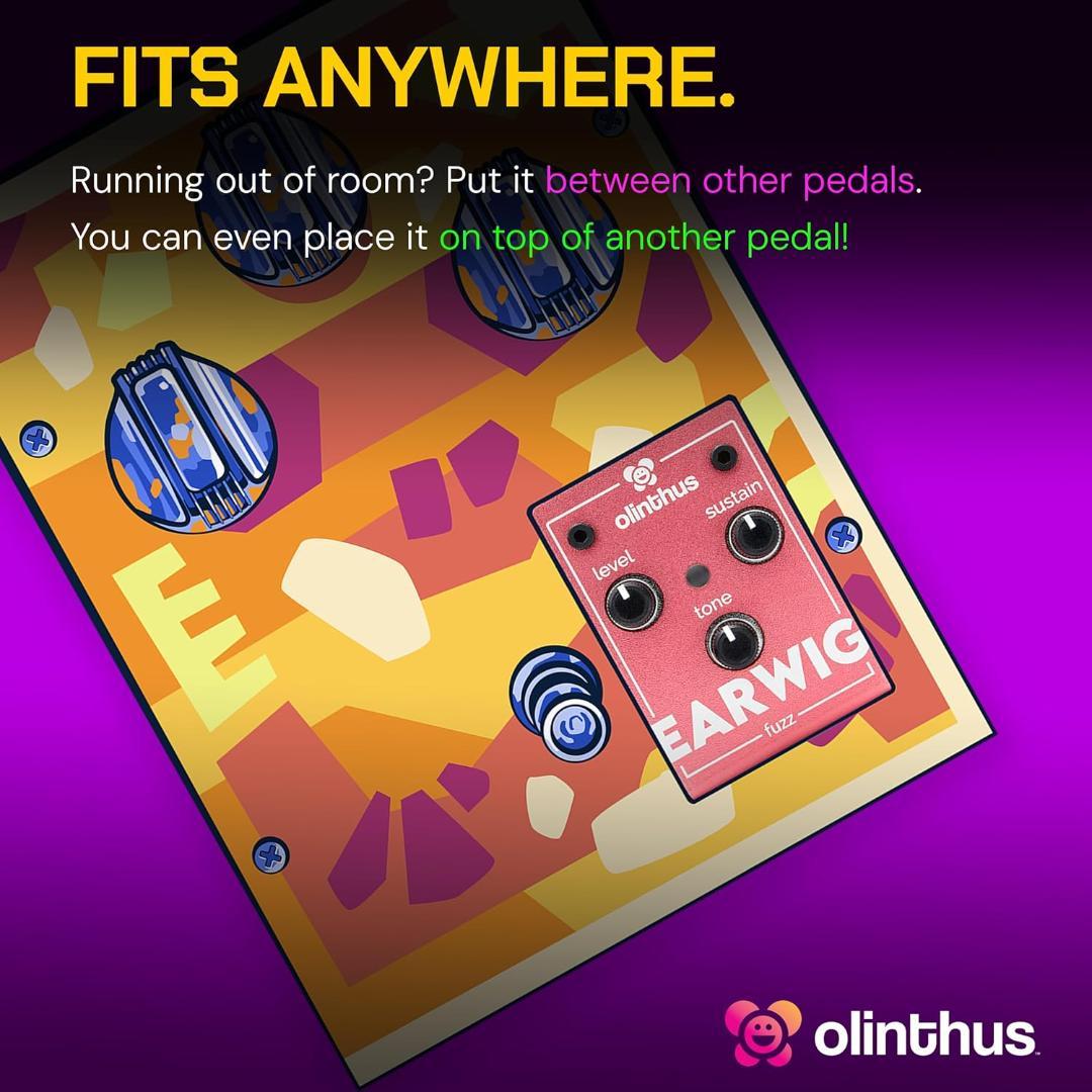 Olinthus オリンサス エフェクター ファズ Earwig [入出力用ブレ