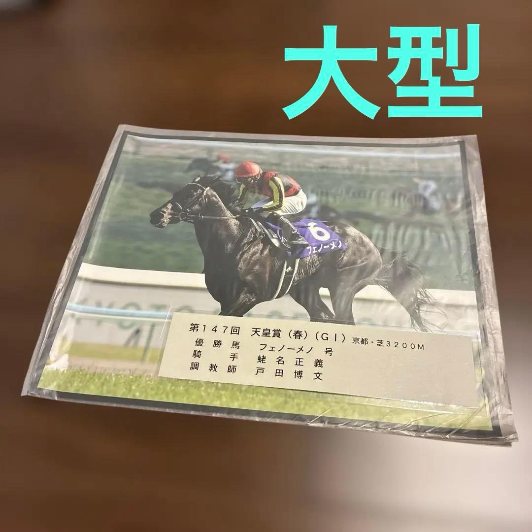 第147回天皇賞（春） フェノーメノ