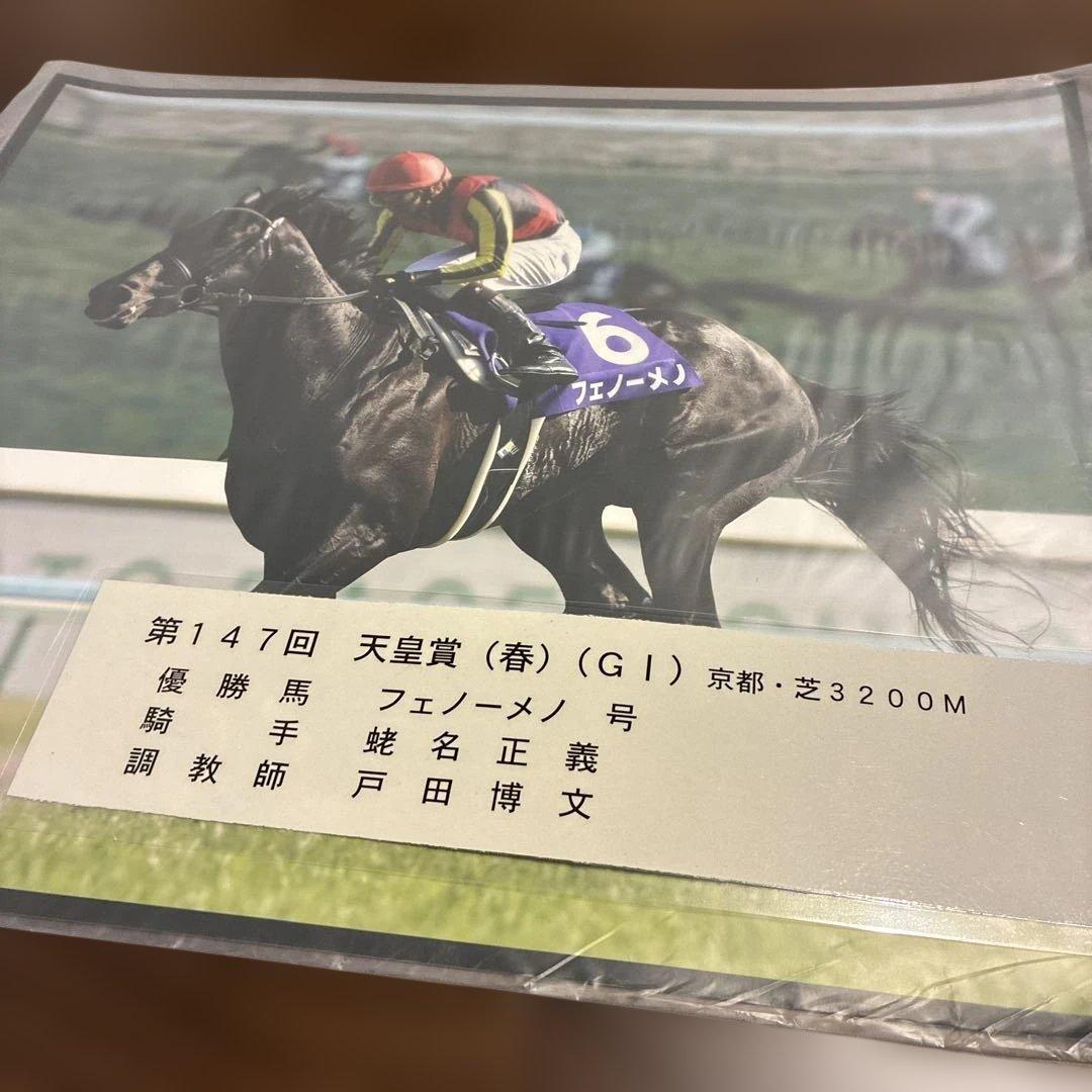 第147回天皇賞（春） フェノーメノ