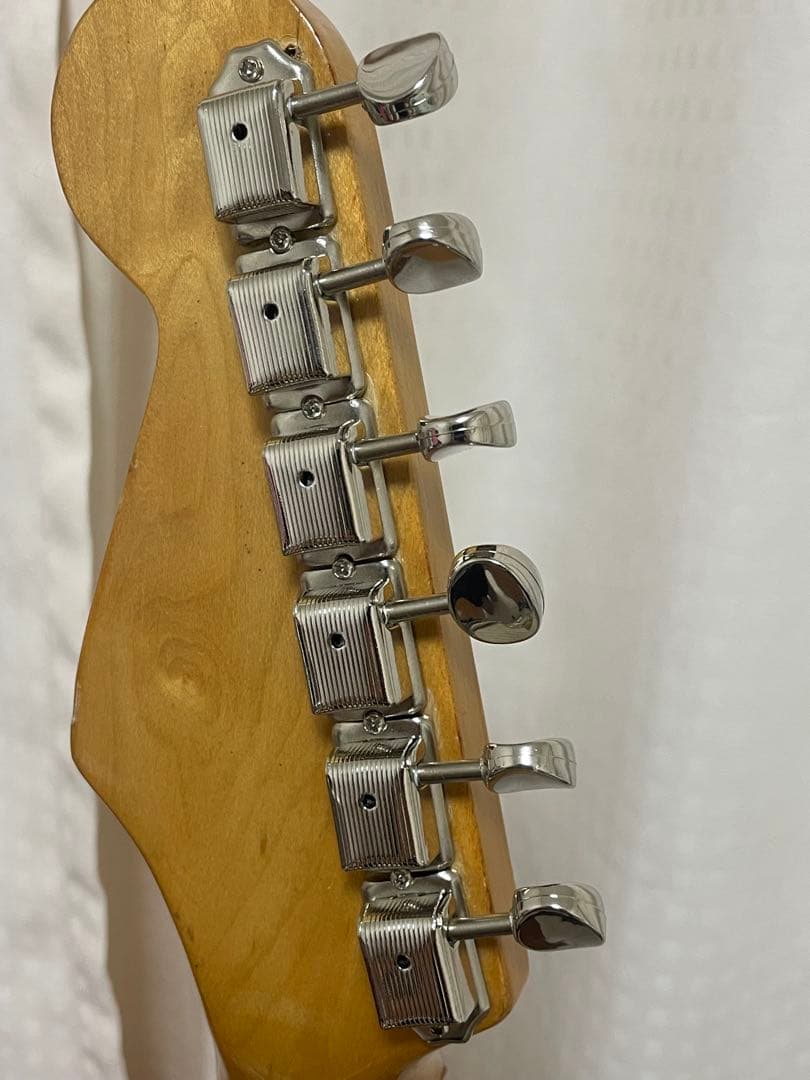 Rokaxs ストラトキャスター タイプ　sugizo skin