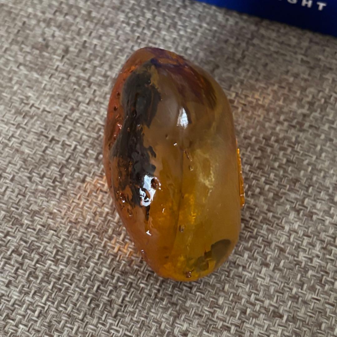 ジュラシックパーク/琥珀型 ペーパーウェイト