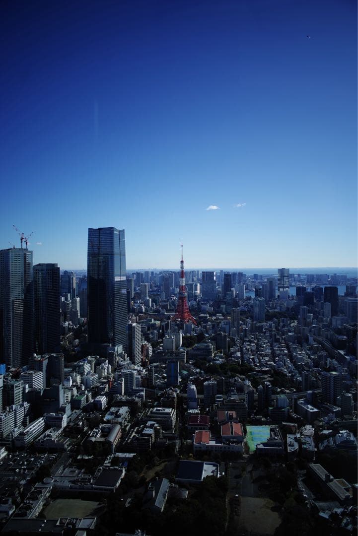 レンズ(単焦点) Carl Zeiss Distagon T* 2.8/25 ZK