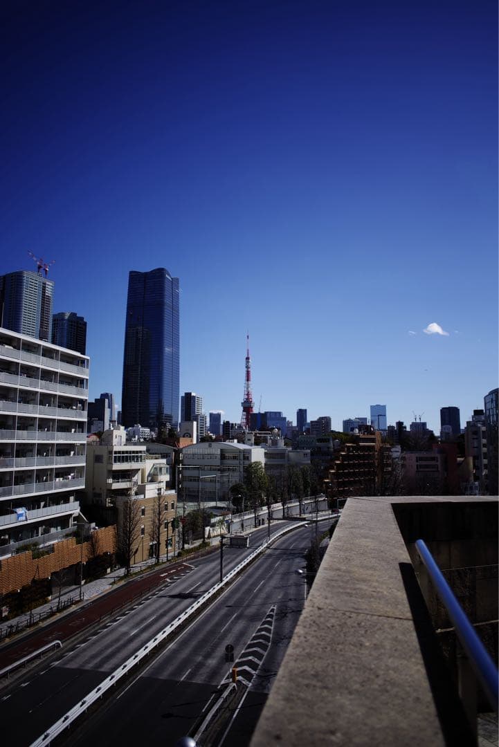 レンズ(単焦点) Carl Zeiss Distagon T* 2.8/25 ZK