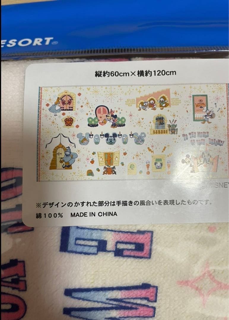 【購入前コメント必須】ディズニーリゾート☆パークドアデザイン