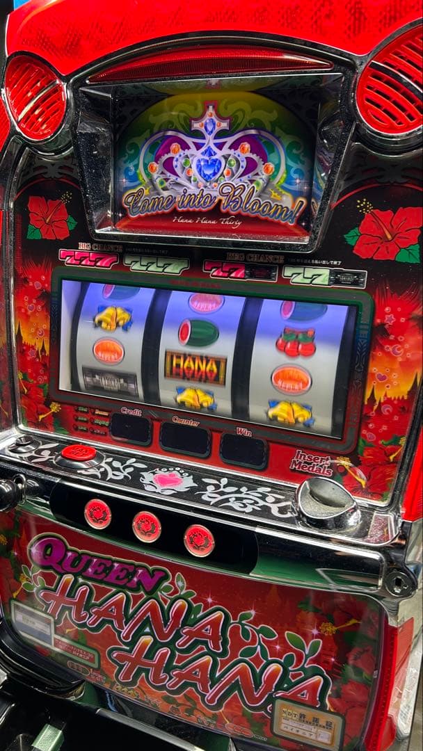 パチスロ実機 クイーンハナハナ 家庭用電源