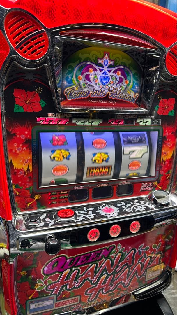 パチスロ実機 クイーンハナハナ 家庭用電源