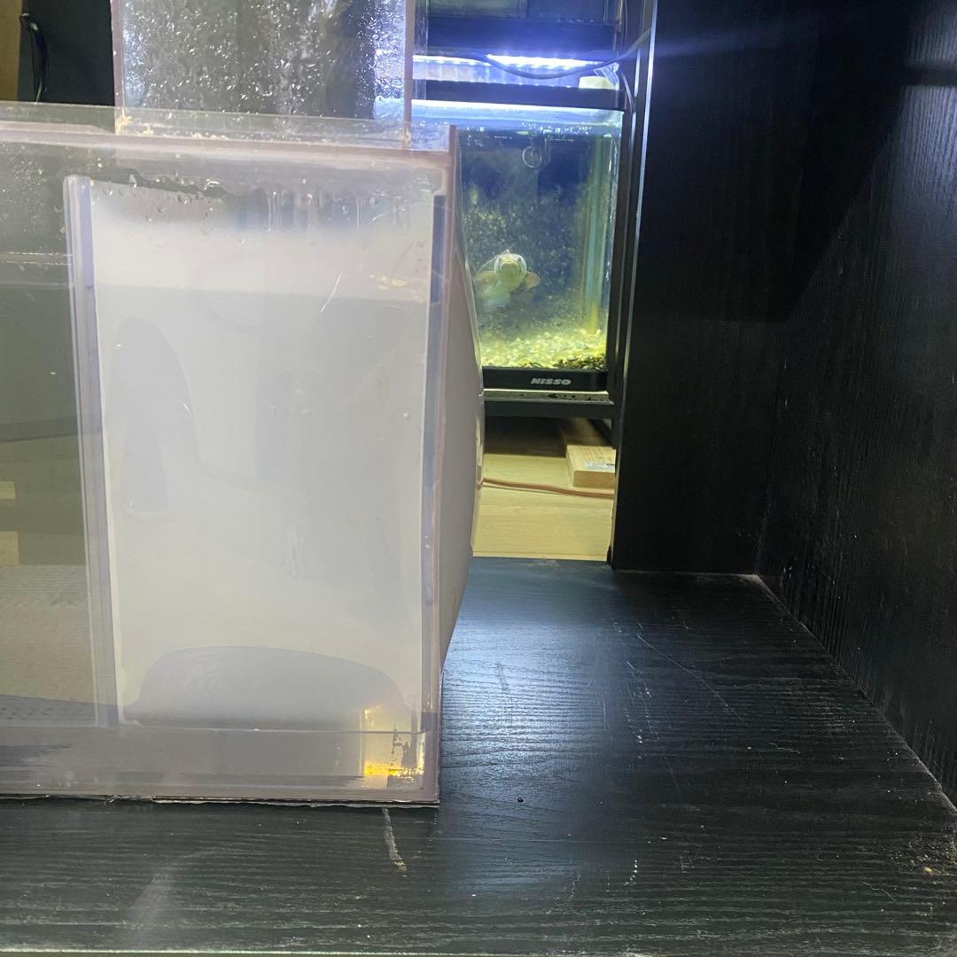 90cm オーバーフロー水槽セット 900×450×450