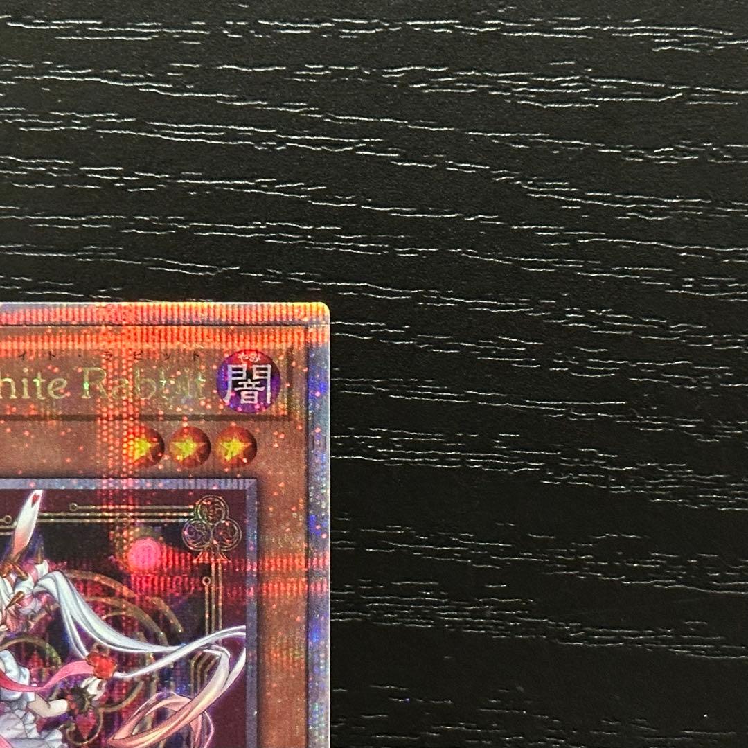 遊戯王 White Rabbit 25th