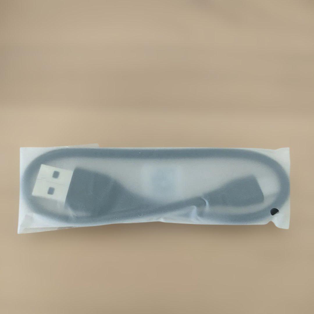 Bose QuietComfort Earbuds シリコンケース付き