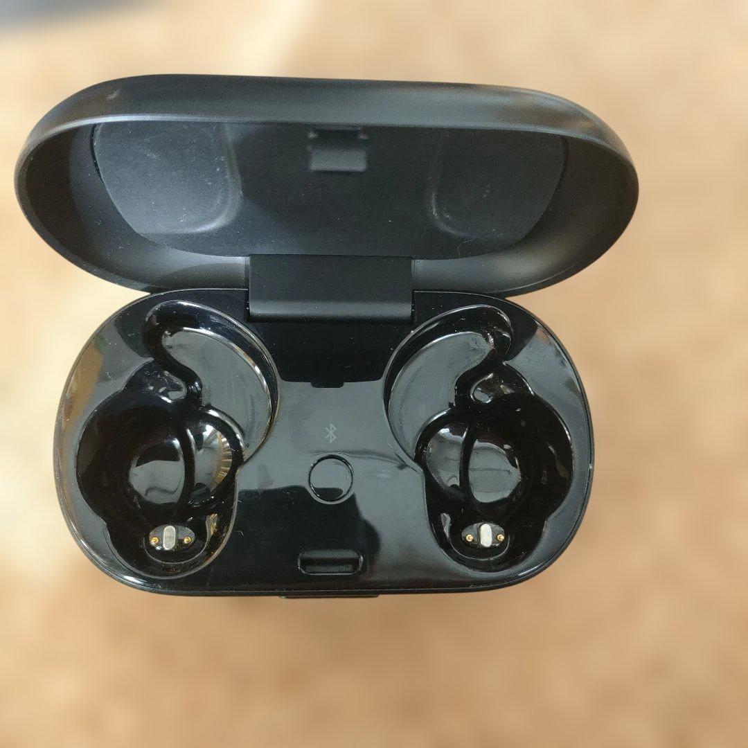Bose QuietComfort Earbuds シリコンケース付き