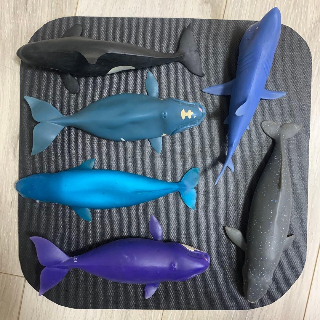 くじら　&co 16点　ブックレット デアゴスティーニ　アンドコ　コンプリート