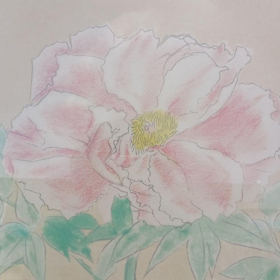 3657）奥村土牛　牡丹素描　リトグラフ