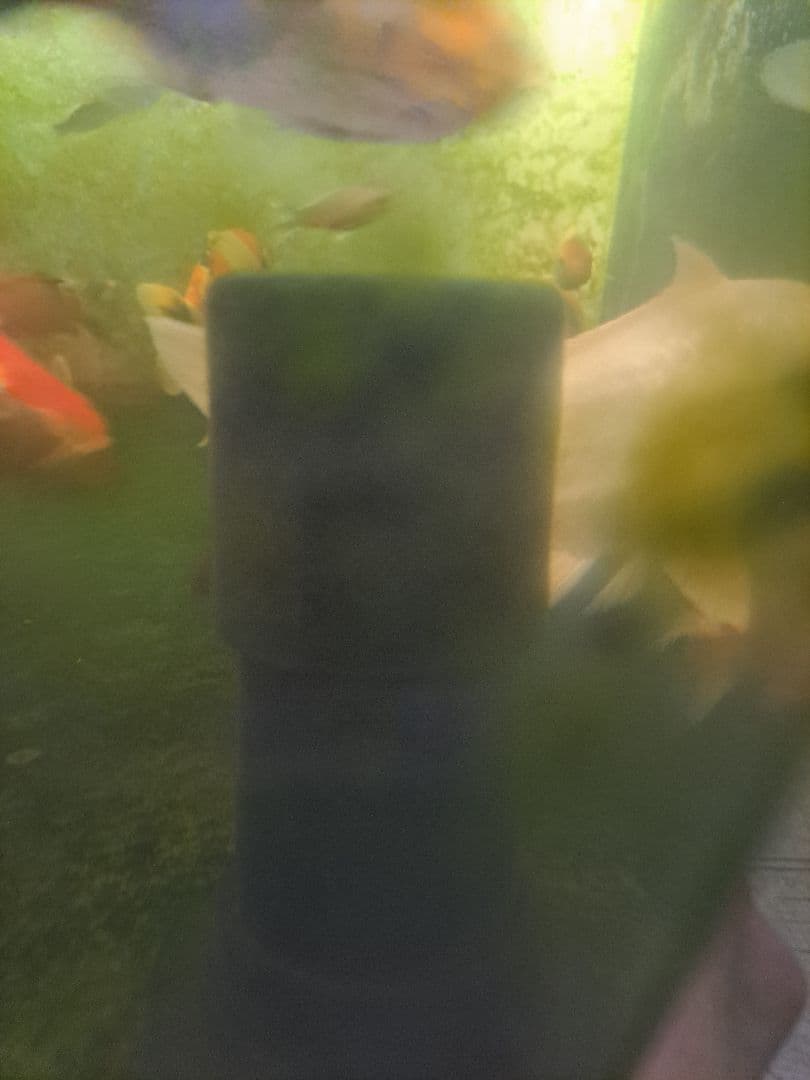 引取限定　大型中古アクリル水槽