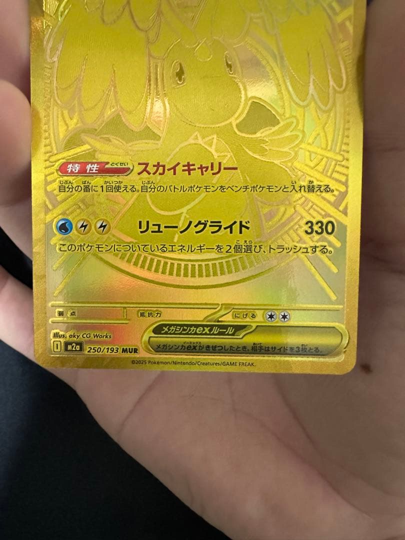 メガカイリューex MUR 白欠けなし マグネットローダー付き 250/193